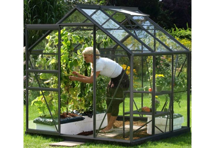 Serre de jardin en aluminium et verre trempé Lams 3,7 m² - Allium gris -  Lams