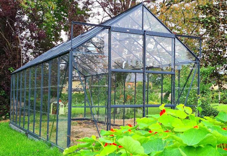 Serre de jardin en alu et verre trempé Lams 12,9 m² - Laurus vert