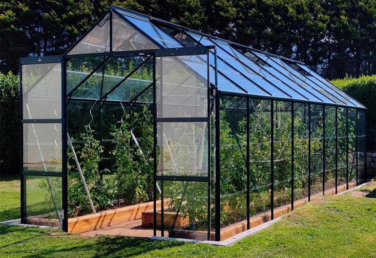 Serre de jardin en verre trempé Lams 14,4 m² - Laurus verte