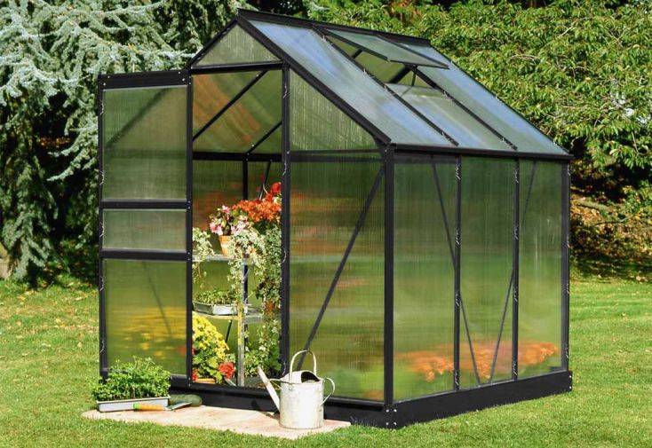 Serre de jardin polycarbonate 4,8m² : : Jardin