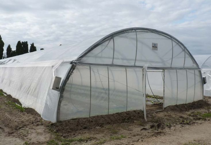 Serre professionnelle Richel en acier et polyéthylène 8 x 20 m