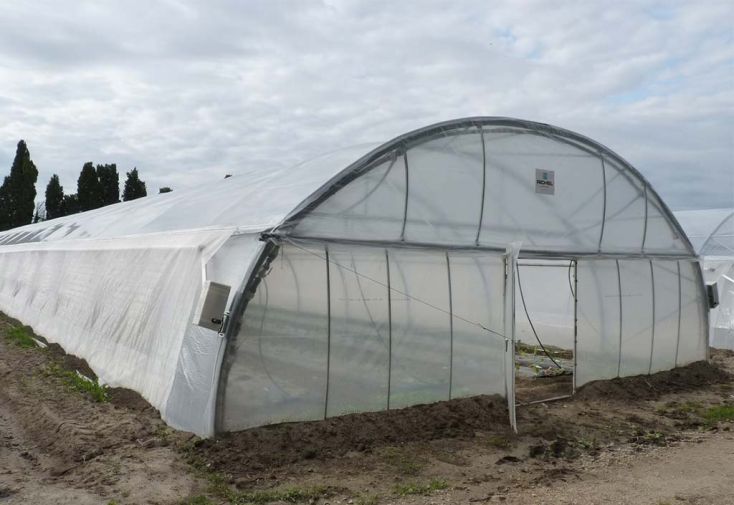 Serre professionnelle Richel en acier et polyéthylène 8 x 30 m