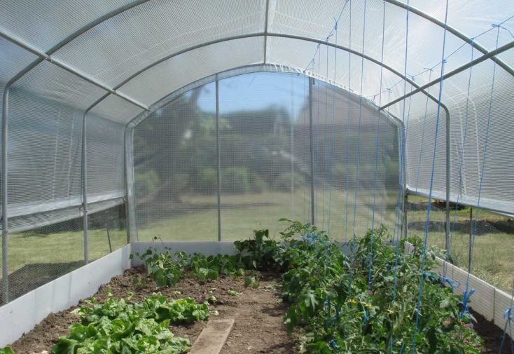 Serre de jardin tunnel 6 m² - Jardin et Saisons