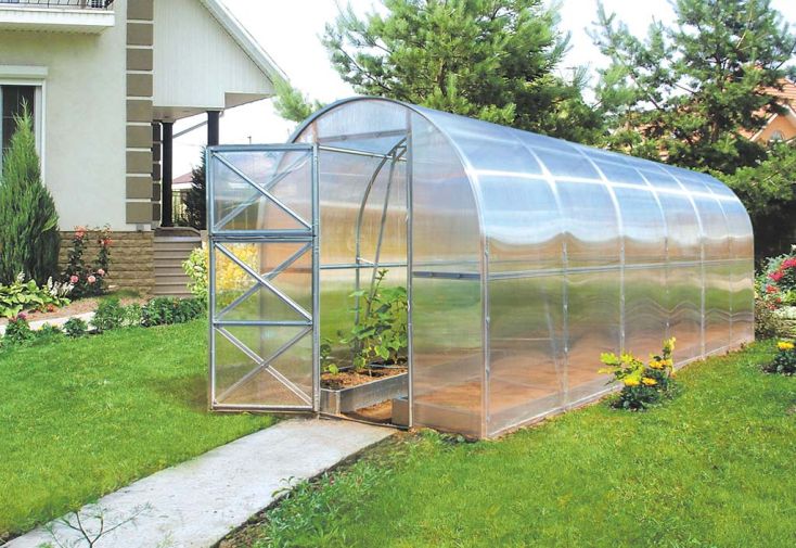 Serre de jardin tunnel en polycarbonate et acier