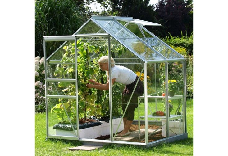 Serre de jardin en verre trempé Lams 2,5 m² - Allium alu naturel