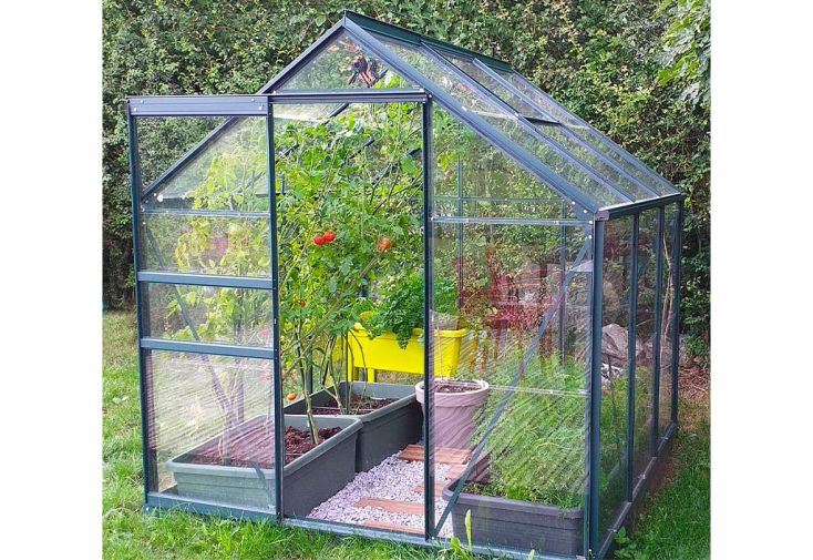 Serre de jardin en verre trempé Lams 3,7 m² - Allium vert