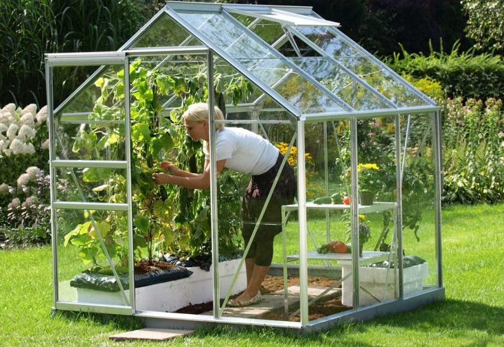 Serre de jardin en verre trempé Lams 3,7 m² - Allium alu naturel