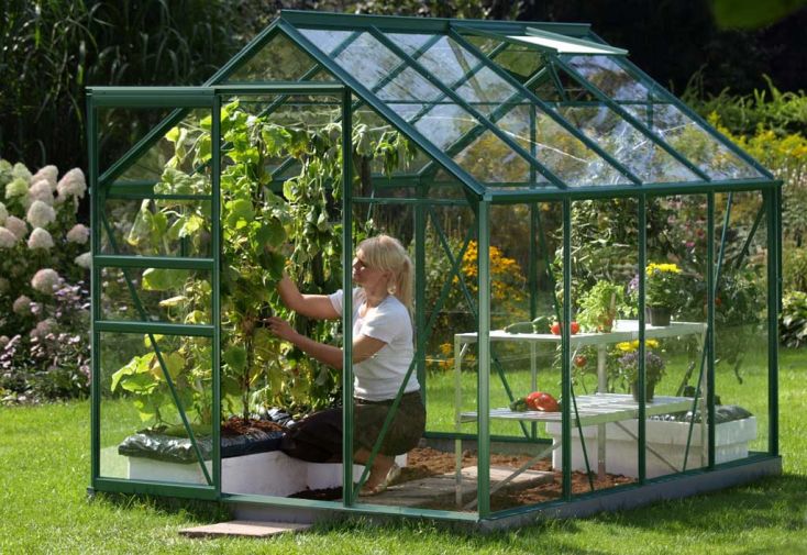 Serre de jardin en verre trempé Lams 4,9 m² - Allium vert