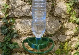 Abreuvoir oiseaux mural Evena avec bouteille 1,5 L - Cycléa vert olive