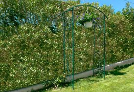 Arche de jardin en métal Louis Moulin - Pont vert 148 x 207 cm