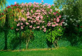 Arche de jardin en métal Louis Moulin - Classique noir 130 x 250 cm