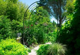 Arche de jardin en métal Louis Moulin - Treillage noir 180 x 250 cm