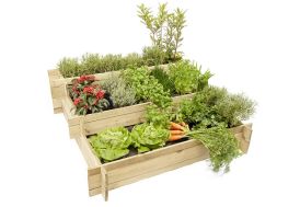 Carré potager en bois de pin autoclave 3 étages avec des plantes