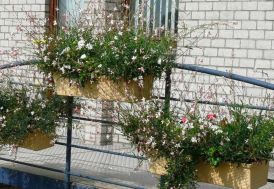 Balconnière suspendue droite PAPI en PEHD + contre bac