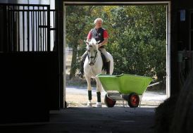 Brouette basculante charges lourdes 2 roues gonflées - 250 L à 500 L