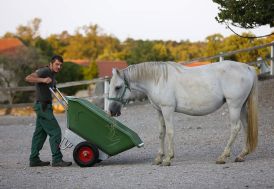 Brouette basculante en polyéthylène 2 roues gonflées - 250 L à 500 L