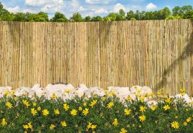 Clôture Naturelle en Roseau Fendu (2x5m)