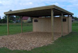 Carport Double Bois d’Épicéa Traité et Fibre de Verre + Remise 40 m² Gardenas