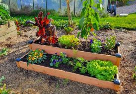 Carré potager en bois Douglas sur 2 étages