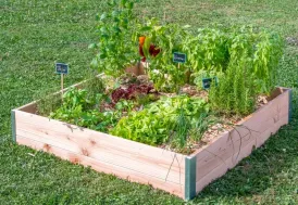 Carré potager en bois Douglas 100 x 95 cm 140 L Mon Petit Potager