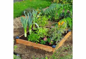 Carré potager en bois Douglas