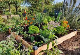 Carré potager en bois Douglas PEFC