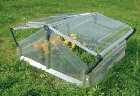 Serre de jardin chassi Sempervivum