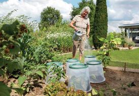 Cloches de culture en plastique