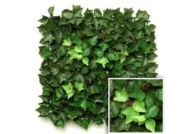 Haie Artificielle Imitation Lierre - 1 x 1 m