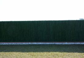 Haie Artificielle 126 Brins 3x2m Vert Thuya Supra 126