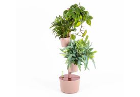 Jardinière verticale écorce et teck CitySens 3 pots avec arrosage manuel