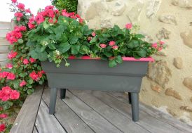 Jardinière Calipso Mini 40L Double Paroi + Réserve d'Eau H50cm