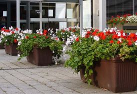 Jardinières rectangulaires en résine PAPI