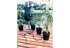 kit d'arrosage goutte à goutte pour serre ACD