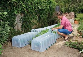 Mini serres de jardin tunnels