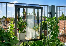 Petite serre à suspendre sur le balcon en verre trempé