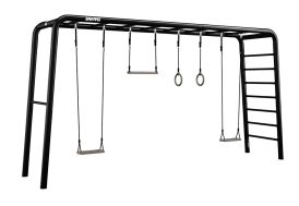 Portique deux balançoires Berg Playbase