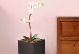 Jardinière Atlantis gris anthracite 