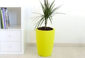 Pot de fleur en polyéthylène intérieur ou extérieur 50 cm
