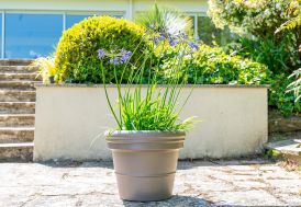 Pot de fleurs rond lisse PAPI en PEHD - PRL