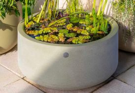Pot de fleurs PAPI Atoll bassin velours vert