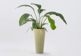 Pot de fleurs rond finition velours PAPI