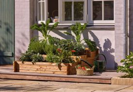 Potager sur pied en bois douglas et acier galvanisé - Haut. 80cm, vente au  meilleur prix