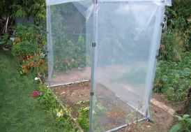 Mini Serre de Jardin en Aluminium et Polycarbonate Plant Inn (118 x 118 cm)  - Canopia