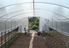 Serre Tunnel Tonneau en polyéthylène 42 m² - 4 Saisons 10,5 x 4 m