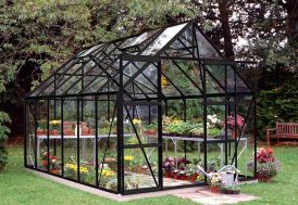 Serre de jardin en aluminium avec parois en verre horticole Magnum 128 noir