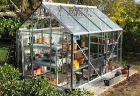 Serre de jardin en verre trempé Lams Allium 5 m²
