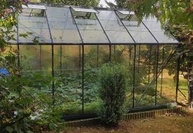 Serre de jardin en aluminium gris anthracite Laurus 12,9 m² Lams