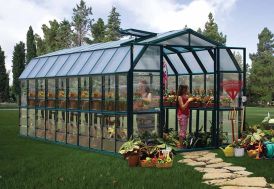 Serre de jardin en PVC vert et parois polycarbonate transparent