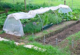 Serre de Jardin Serre Tunnel en Acier Galvanisé et Polyéthylène Tonneau 1,3 x 10 m